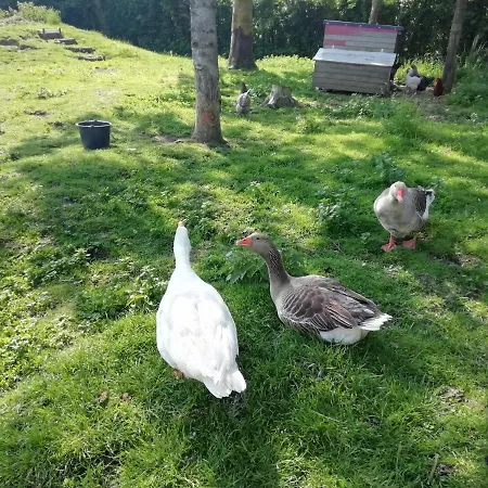 Apartamento Etage à La Ferme Indépendant Avec Piscine Intérieure Privative *